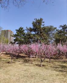 百子湾园14
