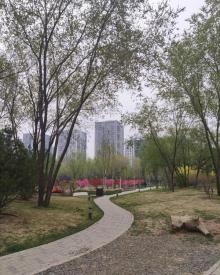 百子湾园10