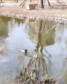 百子湾园21
