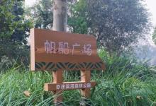 亦庄新城滨河森林公园1