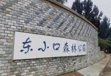 东小口森林公园9
