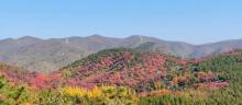 舞彩浅山滨水国家登山步道-白毛峪19
