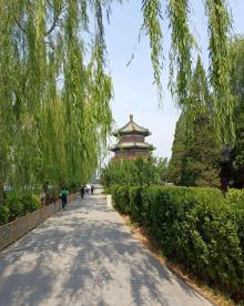 北京望海楼7