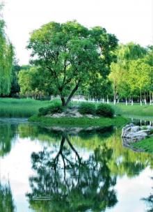 西山公园3