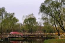 大运河森林公园-西园6