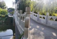 柳荫公园16