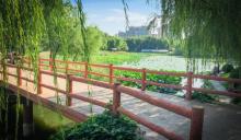 柳荫公园4