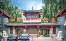 柳荫公园8