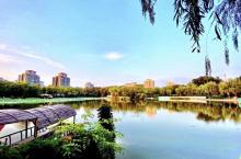 柳荫公园24