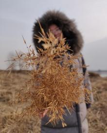 沙河水库9