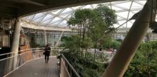 北京世园会植物馆26