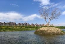 马家湾湿地公园30
