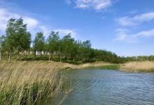 马家湾湿地公园24