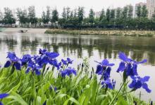 月亮河公园5