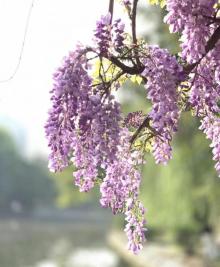 月亮河公园6