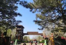 古塔公园19