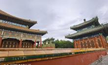 小西天19