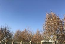 老山城市休闲公园10