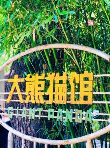 奥运熊猫馆4