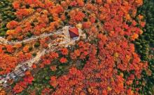 舞彩浅山滨水国家登山步道1