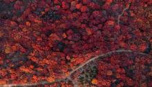 舞彩浅山滨水国家登山步道8