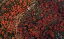 舞彩浅山滨水国家登山步道7