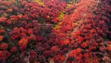 舞彩浅山滨水国家登山步道6