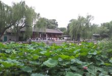 水木清华10