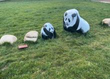 摸鱼露营15