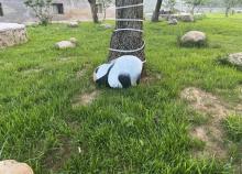 摸鱼露营16