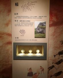 首都粮食博物馆3