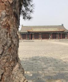 普度寺14
