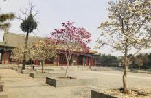 普度寺11