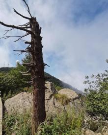 房山百花山风景区5