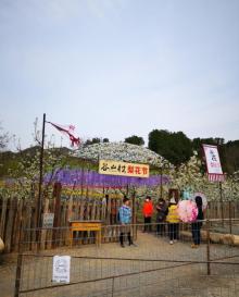 谷山村10