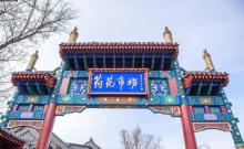 荷花市场2