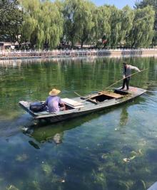 荷花市场18
