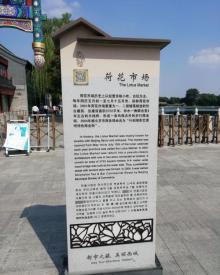 荷花市场11