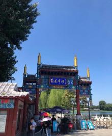 荷花市场16