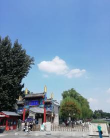 荷花市场13