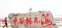 平谷桃花源3