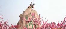 平谷桃花源4