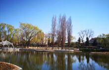 人定湖公园14