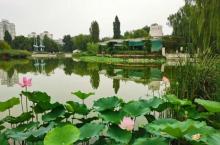 人定湖公园10