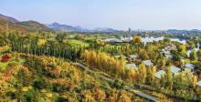 雁栖岛1