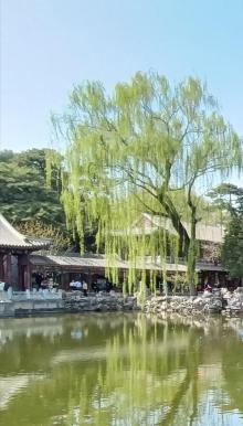 谐趣园15