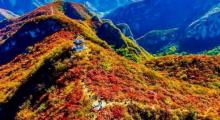 北京药王谷风景区22