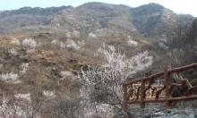 北京药王谷风景区5