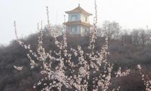 北京药王谷风景区9