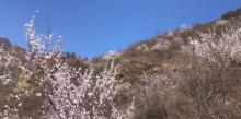 北京药王谷风景区7